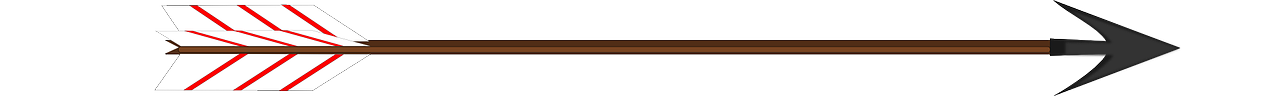 BSC_Niedernsill_Pfeil